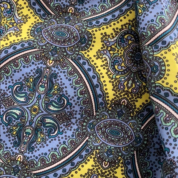 Nat nast  men’s swim trunks - Picture 3 of 6